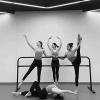 SDdPulse Mobile Ballet Bar Equipment, Freestanding Fitness Dance Bar Stretch, Portable Double Ballet & Workout Studio Dance Pole Exercise (Black 150x60x105cm) view 3