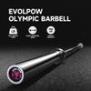 7FT Home Gym Olympic Barbell, 2 Inch 45 lb Barbell for Weightlifting and Power Lifting Barbell, 700-Pound Capacity view 3