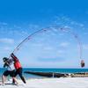 PEKJI Freshwater Fishing Rod carp Rod Carbon Table Fishing Pole Telescopic Fishing Rod Hand Pole Fishing Gear Reusable, 4.5m view 3
