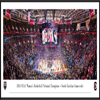 2024 NCAA Women's Basketball National Champions, South Carolina - Standard Framed Print by Blakeway Panoramas (40.25"W x 13.75"H)