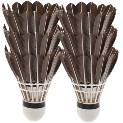 6pcs Lightweight Badminton Shuttlecocks for Beginners and Portable Training Birdies for Sports Activities