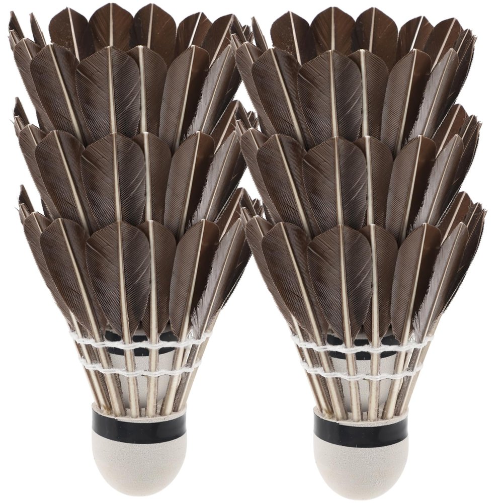 6pcs Lightweight Badminton Shuttlecocks for Beginners and Portable Training Birdies for Sports Activities