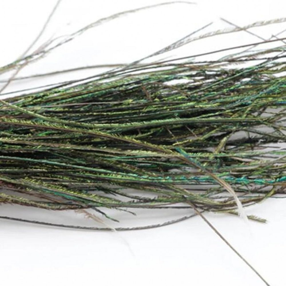 YJIUYUANQ 200Pc Fly Fishing Tied Material Natural Peacock Herl Feather Wire Tail Ribbon Gloss Streamers Accessories, as show