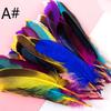 Cuoyuqie 50pcs Multiple Colors Turkey Feathers Fly Fishing Tying Material Making (A# 50PCS) view 2