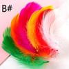 Cuoyuqie 50pcs Multiple Colors Turkey Feathers Fly Fishing Tying Material Making (A# 50PCS) view 3