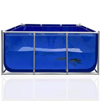 PVC Canvas Fish Pond With Steel Frame, Foldable Water Storage Tank, Aquarium Pool Pond With Transparent Viewing Panel And Drain Valve For Ponds, Fish Tank, Koi ( Color : Blue , Size : 100x100x60cm )