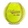 MYETCHEY Personalized Leather Softball Custom Engraved Team Gift, Softball Coach Gift, Senior Night Award, Custom Name & Team Logo Trophy Keepsake (Giulianna) view 1