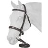 Equitare Cadence Hunter Bridle view 1