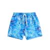 AIMAOMI Toddlers Baby Boys Swimsuit Trunk Rashguard Set Swimwear Bathing Suit Sunsuit Swim Shirt UPF (Blue, 3-4 Years) view 1