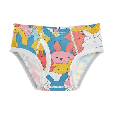 ALAZA Hipster Funny Rabbit Boys' Briefs Soft Underwear Available in Sizes 2t Multicolor
