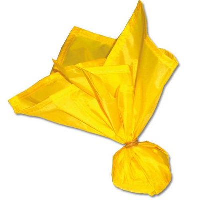 212 Main Officials Penalty Flag