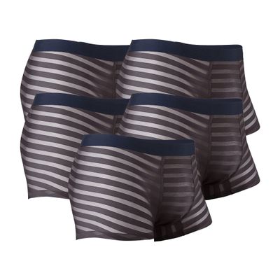 JEKE-DG Men's Ice Silk Stripes Boxer Briefs Low Rise Seamless Trunk Underwear See Through Thin Bulge Pouch Boxers (X-Large,Grey-5pc)