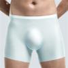 JEKE-DG Mens Ice Silk Underwear Trunks Seamless Bulge Pouch Boxer Briefs Ultra-Thin Stretch Boxers Multiplepack (X-Large,Green-5pc) view 2