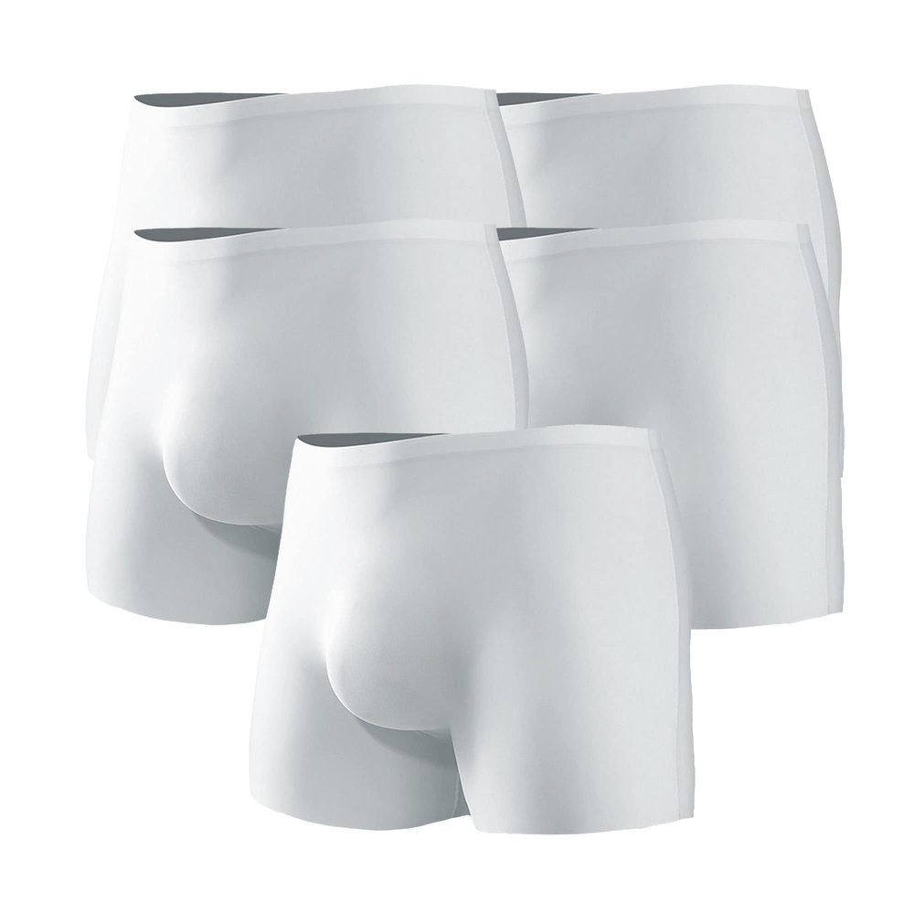 JEKE-DG Mens Ice Silk Underwear Trunks Seamless Bulge Pouch Boxer Briefs Ultra-Thin Stretch Boxers Multiplepack (3X-Large,White-5pc)