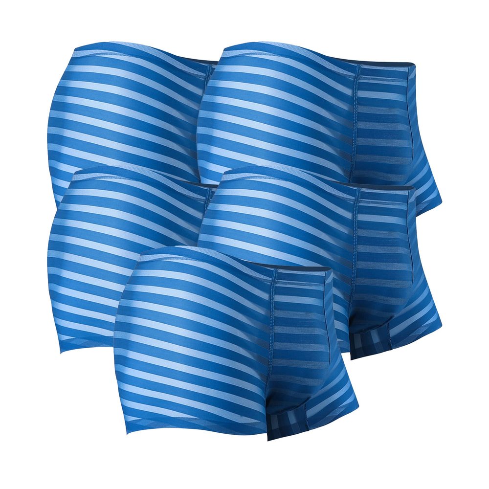 JEKE-DG Men's Ice Silk Stripes Boxer Briefs Low Rise Seamless Trunk Underwear See Through Thin Bulge Pouch Boxers (Large,Blue 10-5pc)