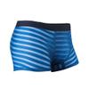 JEKE-DG Men's Ice Silk Stripes Boxer Briefs Low Rise Seamless Trunk Underwear See Through Thin Bulge Pouch Boxers (Large,Blue-1pc) view 1
