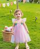AGQT Baby Girls Tulle Tutu Dress Sleeveless Infant Tutu Dresses Birthday Party Holiday Wedding Layered Lace Mini Layers Dress with Cartoon Flower Streamer-Pink Size 6-12 Months view 3