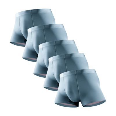 JEKE-DG Mens Ice Silk Boxer Briefs Stretch Breathable Underwear Trunks Seamless Underpants With Pouch Double (Large,Blue 20-5pc)
