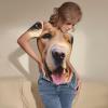 YYHWHJDE Women'S Tight Fit Onesie Large Soften Crew Neck Short Sleeves Adults Lovely Golden Retriever Dog Picture view 4
