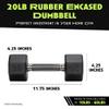Rubber Coated Dumbbell - No Roll Design Easy-Grip Steel Knurled Handle, Weights Dumbbells Set for Strength Training - Ideal Weights Set for Home Gym - 10-60 LBS SOLD INDIVIDUALLY view 3