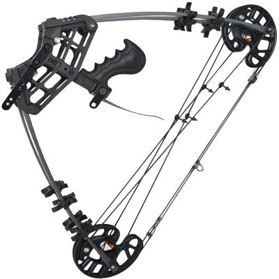 AMEYXGS Archery Compound Bow Dual-Purpose Steel Ball Hunting Bow 45lbs Triangle Bow Catapult for Outdoor Hunting Fishing for LH and RH (Black)