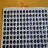 322 PCS. 3D 7MM BLUE HOLOGRAPHIC FISHING LURE EYES/FLY TYING JIGS/CRAFT DOLLS for Toothy Critters, Rigging Baits and Lures for Saltwater & Freshwater. view 1