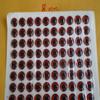 260 PCS. 3D 8MM RED HOLOGRAPHIC FISHING LURE EYES/FLY TYING JIGS/CRAFT DESINGS for Toothy Critters, Rigging Baits and Lures for Saltwater & Freshwater. view 1