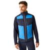 Regatta Mens E-Volve Colour Block Softshell Body Warmer (XL) (Strong Blue/Navy) view 1