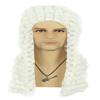 VGbeaty Judge Lawyer Barrister Colonial Long Curly White Wig 18th Century Men Halloween Costume Cosplay Wig view 1