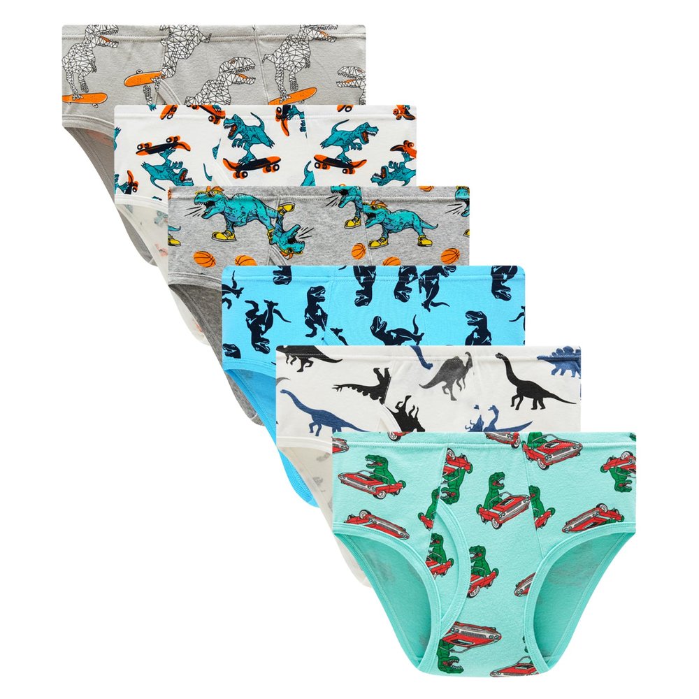 Family Feeling 6 Packs Big Boys' Cotton Dinosaurs Print Brief Underwear Size 10