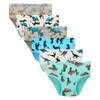 Family Feeling 6 Packs Big Boys' Cotton Dinosaurs Print Brief Underwear Size 10 view 1