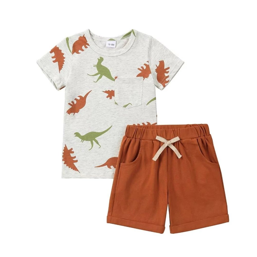 2T Boys Clothes Toddler Little Boys Summer Outfits Dinosaur T-Shirt & Shorts Clothing Set, Brown Dino 2-3T/90cm