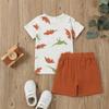 2T Boys Clothes Toddler Little Boys Summer Outfits Dinosaur T-Shirt & Shorts Clothing Set, Brown Dino 2-3T/90cm view 3