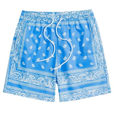 Men's Boho Tribal Paisley Print Drawstring Waist Summer Beach Hawaiian Cool Graphic Short Men Light Blue XL
