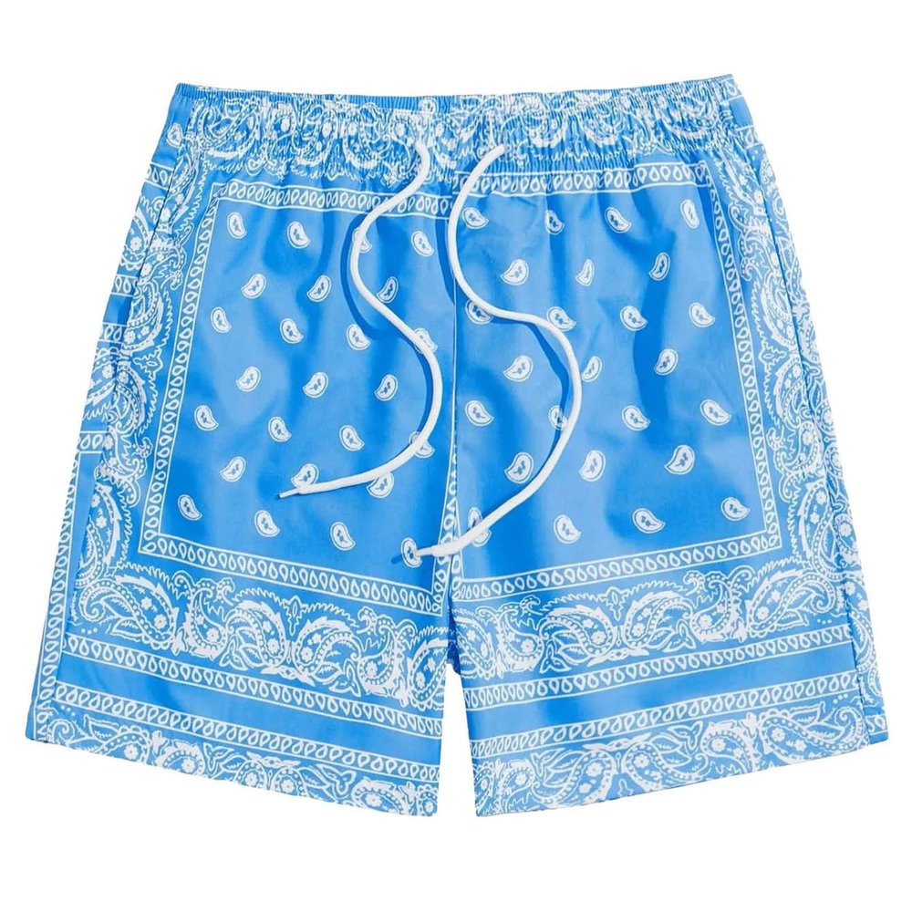 Men's Boho Tribal Paisley Print Drawstring Waist Summer Beach Hawaiian Cool Graphic Short Men Light Blue XL