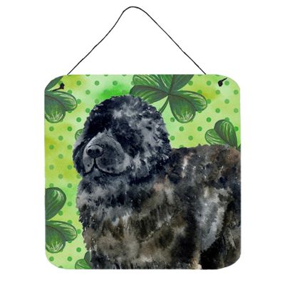 212 Main Newfoundland St Patricks Wall or Door Hanging Prints