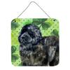 212 Main Newfoundland St Patricks Wall or Door Hanging Prints view 1