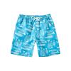 Boys Swim Trunks Stretch Quick-Dry Swim Shorts Kids Bathing Suits Toddler Boy Swimsuit Swimwear (Blue, 13-14 Years) view 1