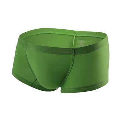 JEKE-DG Men's Ice Silk Trunks Underwear Seamless Thin Boxer Briefs Multipack Summer Comfort Boxer Shorts Underpants (Large,Green-1pc)