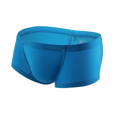 JEKE-DG Men's Ice Silk Trunks Underwear Seamless Thin Boxer Briefs Multipack Summer Comfort Boxer Shorts Underpants (Large,Blue-1pc)