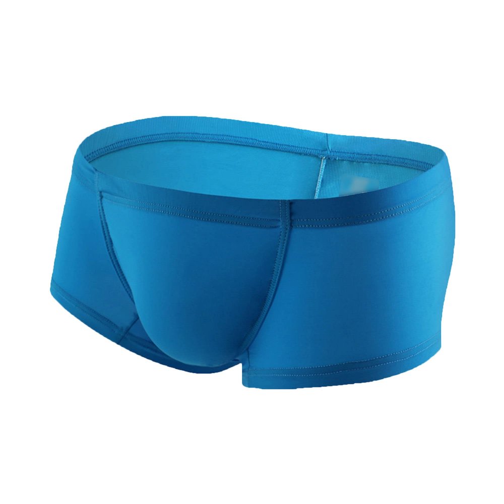 JEKE-DG Men's Ice Silk Trunks Underwear Seamless Thin Boxer Briefs Multipack Summer Comfort Boxer Shorts Underpants (Large,Blue-1pc)
