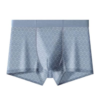 JEKE-DG Mens Ice Silk Mesh Boxer Briefs Breathable Cool Underwear Low Rise Stretch Boxers With Bulge Pouch (Large,Blue 20-1pc)