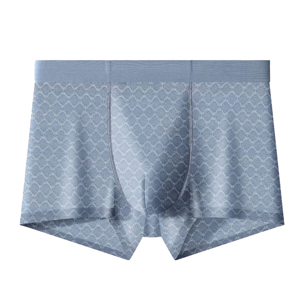 JEKE-DG Mens Ice Silk Mesh Boxer Briefs Breathable Cool Underwear Low Rise Stretch Boxers With Bulge Pouch (Large,Blue 20-1pc)