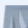 JEKE-DG Mens Ice Silk Mesh Boxer Briefs Breathable Cool Underwear Low Rise Stretch Boxers With Bulge Pouch (Large,Blue 20-1pc) view 4
