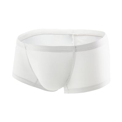 JEKE-DG Men's Ice Silk Trunks Underwear Seamless Thin Boxer Briefs Multipack Summer Comfort Boxer Shorts Underpants (Large,White-1pc)
