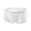 JEKE-DG Men's Ice Silk Trunks Underwear Seamless Thin Boxer Briefs Multipack Summer Comfort Boxer Shorts Underpants (Large,White-1pc) view 1