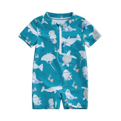 Newbgclo Infant Baby Boy Girl One Piece Swimsuit Long/Short Sleeve Zipper Bathing Suit Toddler Rash Guard Swimwear Sunsuit (D-C Sky Blue, 3-6 Months)