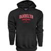 Blue 84 Houston Rockets NBA Officially Licensed Hooded Sweatshirt Sanded Fleece Alternate Color, Medium view 3