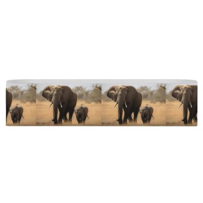 WYUSPGK Workout Bands Resistance for Women,Walking Elephants Mother Print Resistance Band,Elastic Band Suitable for Buttocks And Leg Exercise