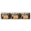WYUSPGK Workout Bands Resistance for Women,Walking Elephants Mother Print Resistance Band,Elastic Band Suitable for Buttocks And Leg Exercise view 1